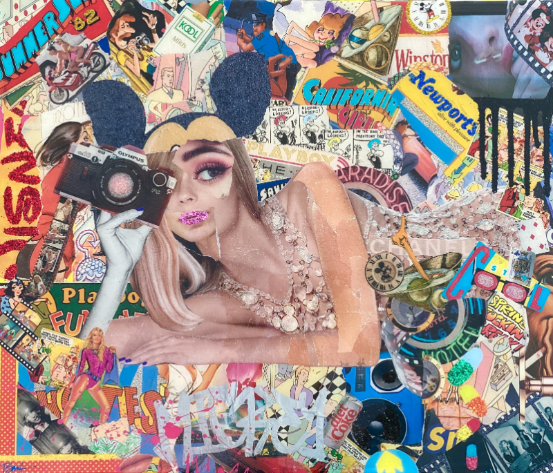 Mad about the Mouse by Tania Tesser